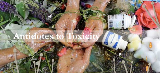 Two sets of hands manipulate natural items like leaves and petals, alongside open medicine bottles spilling out pills and cotton