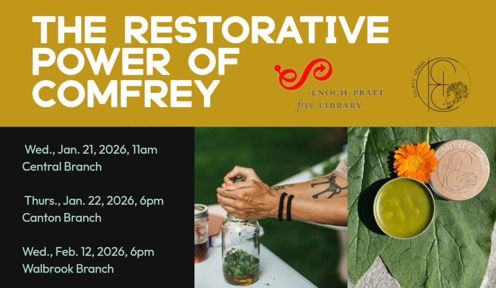 The Restorative Power of Comfrey, free workshop series. Photos show hands adding herbs to a glass jar and a green salve.