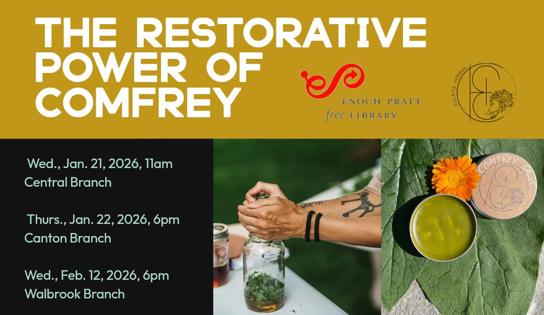 The Restorative Power of Comfrey, free workshop series. Photos show hands adding herbs to a glass jar and a green salve.