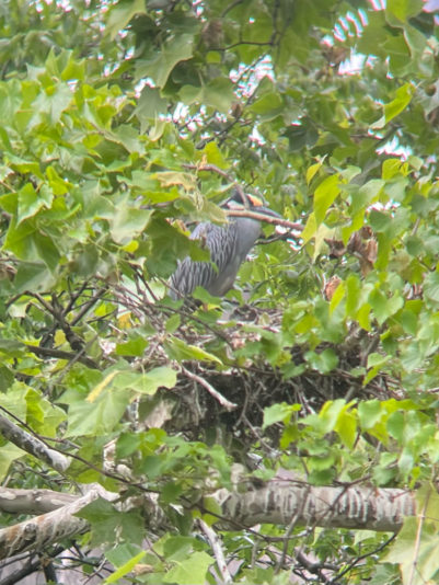 92E2073D-6169-432D-80FC-D2CDEDFEFD2D