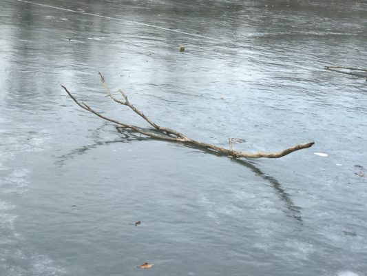 140B44EF-6601-4895-B8D0-4154DC5445DA