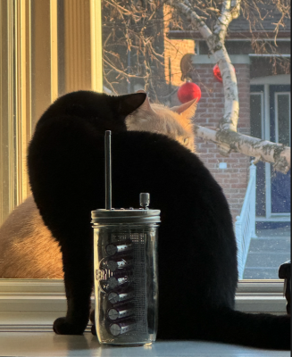 Screenshot 2024-02-13 at 10.05.33 AM