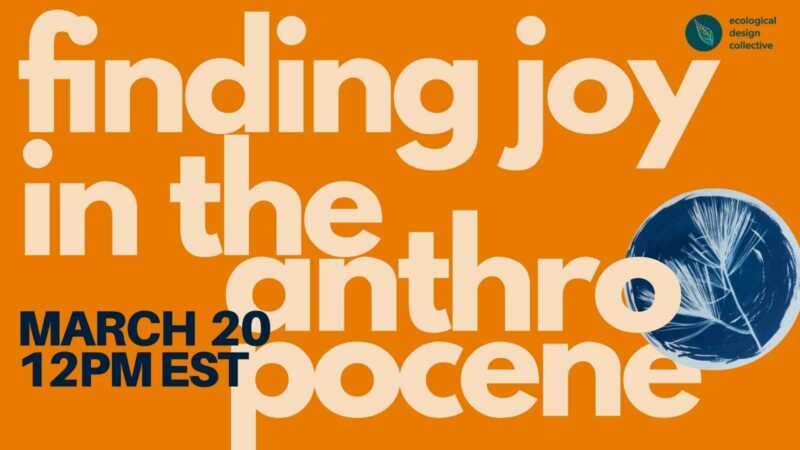 Flooded-Pine-Press-event-1600-x-900-px