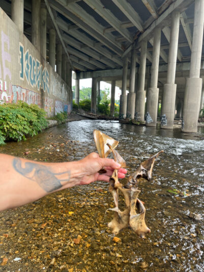 7F502633-B25F-4DD3-9E34-7EC6AD2DCAE7