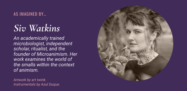 Screenshot 2024-02-19 172931