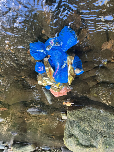 15DF8783-4F0B-4298-AAF5-58E4854220D8