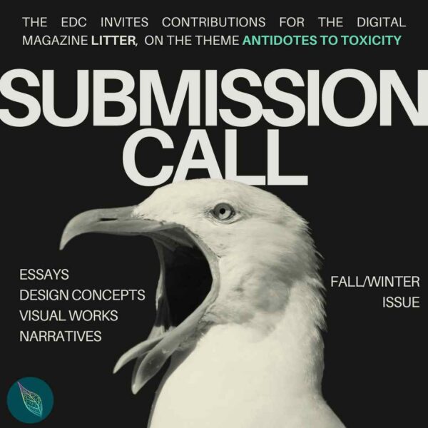 A white gull squaks its 