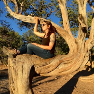 Lindi sits on a twisted juniper tree.